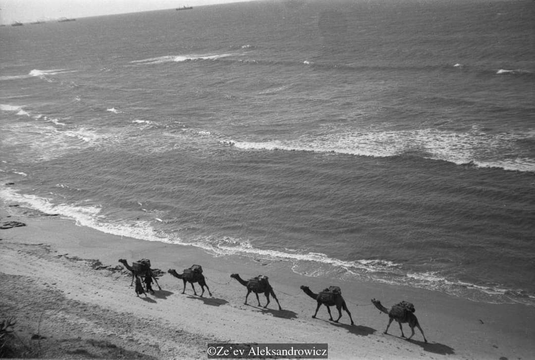 WhatsApp Image 2022-08-27 at 6.31.32 PM (2).jpeg